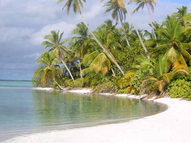 Nadia’s Deserted Island Survival Kit