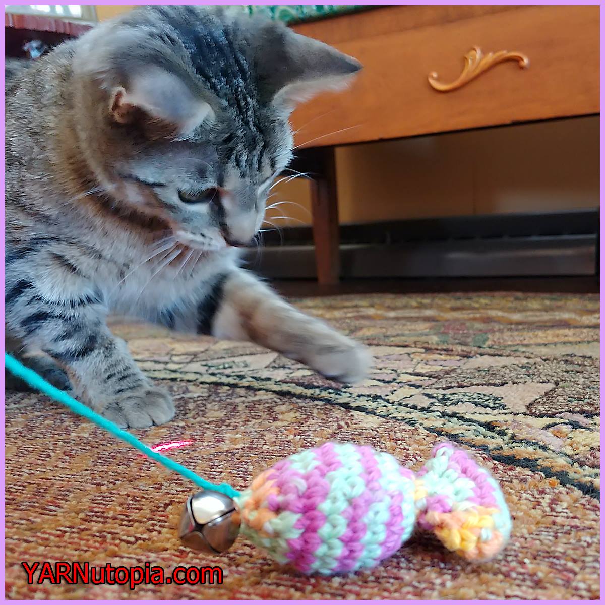 Crochet Tutorial: Catnip Sardine Toy