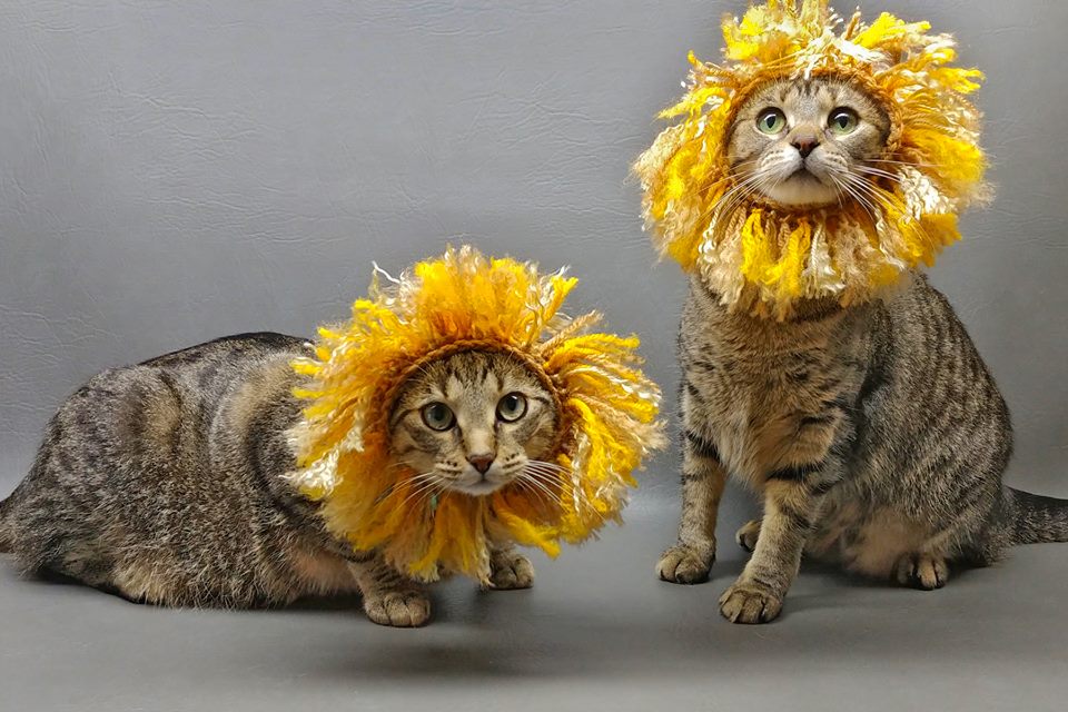 How to Crochet Tutorial: Lion Mane Cat Hat Costume