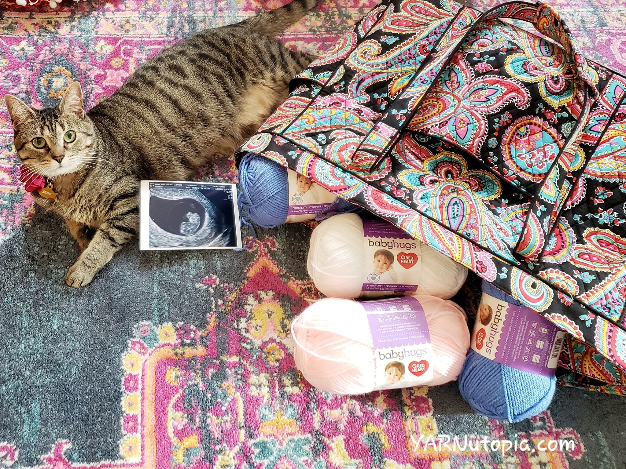 The Cat’s Out of the (YARN) Bag!