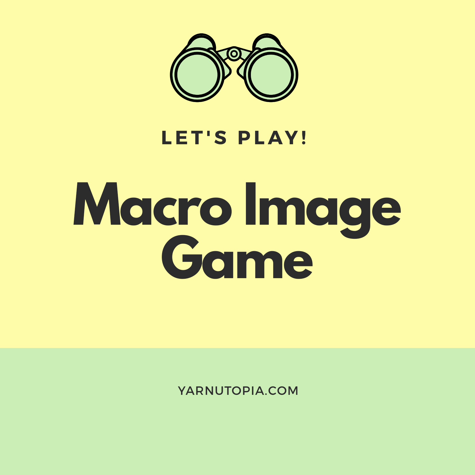Macro Image Game