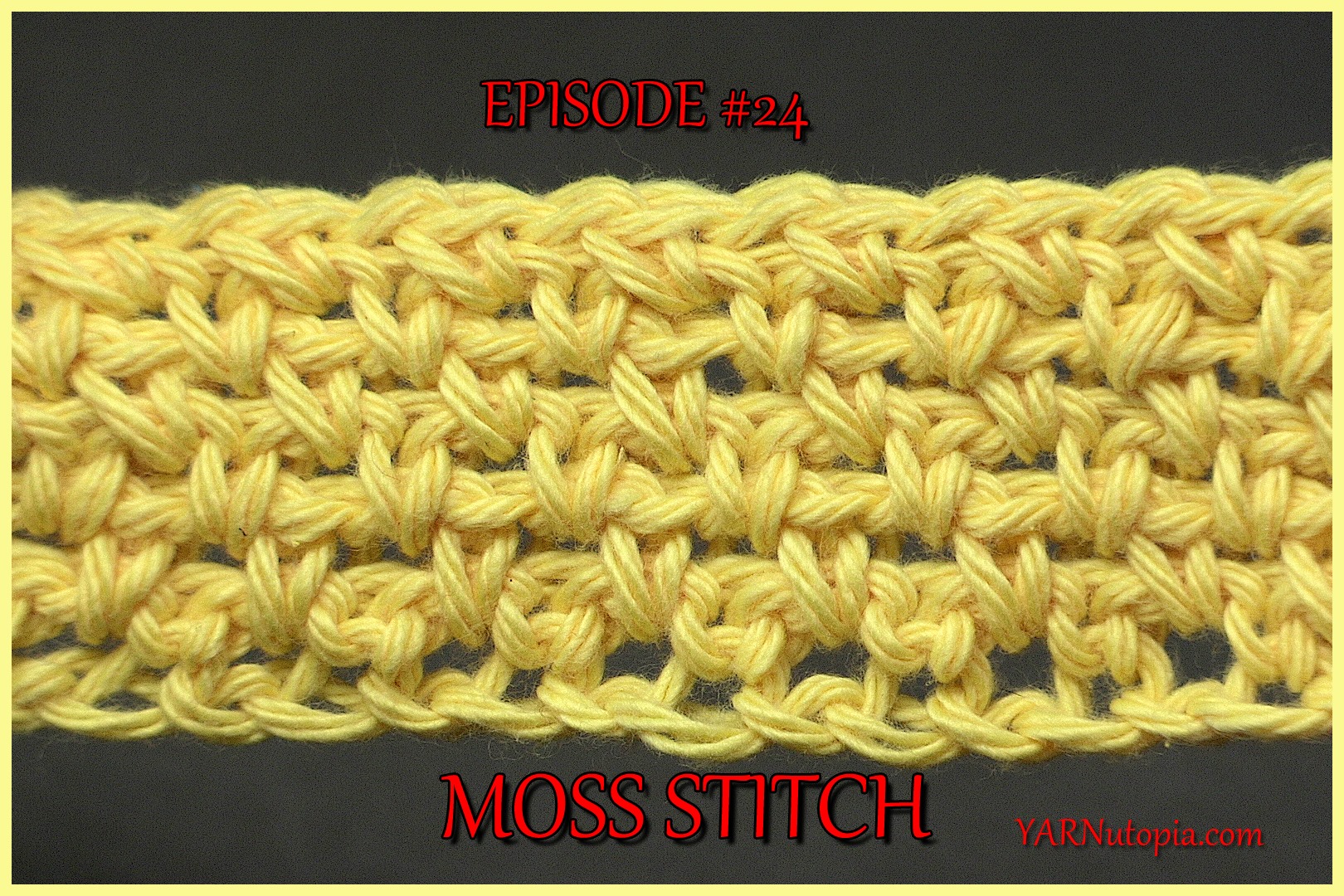 Stitch Gallery & Glossary Episode #24: Moss Stitch